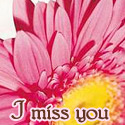 I Miss You