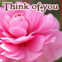 Think of you