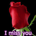 I miss you