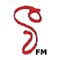 Sri Lanka Online Radio V FM