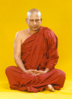 Venerable Gangodawila Soma Thero