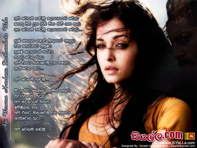 Api Wenama Handamu Dethanakata Wela Song Lyrics by Krishantha Erandaka