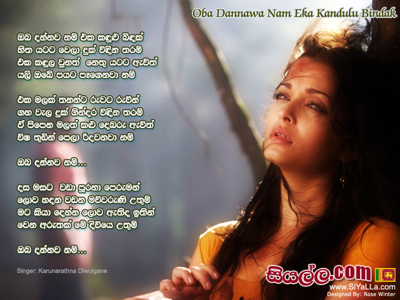 Oba Dannawanam Eka Kandulu Bindak Song Lyrics by Karunarathna Divulgane